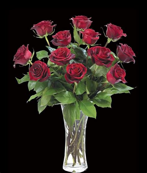 Black magic roses vase arrangement